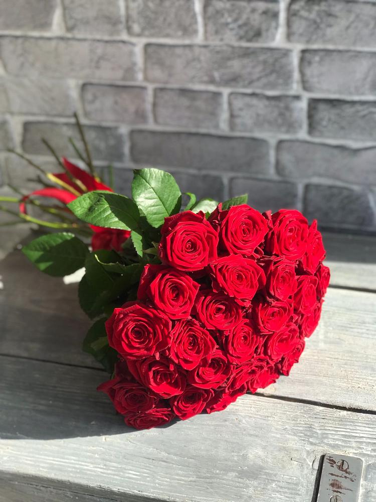 Букет Красные розы Фридом в Заполярном Мурманской области