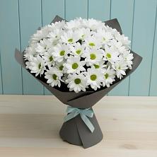 Букет цветов из:  Хризантемы в Заполярном Мурманской области