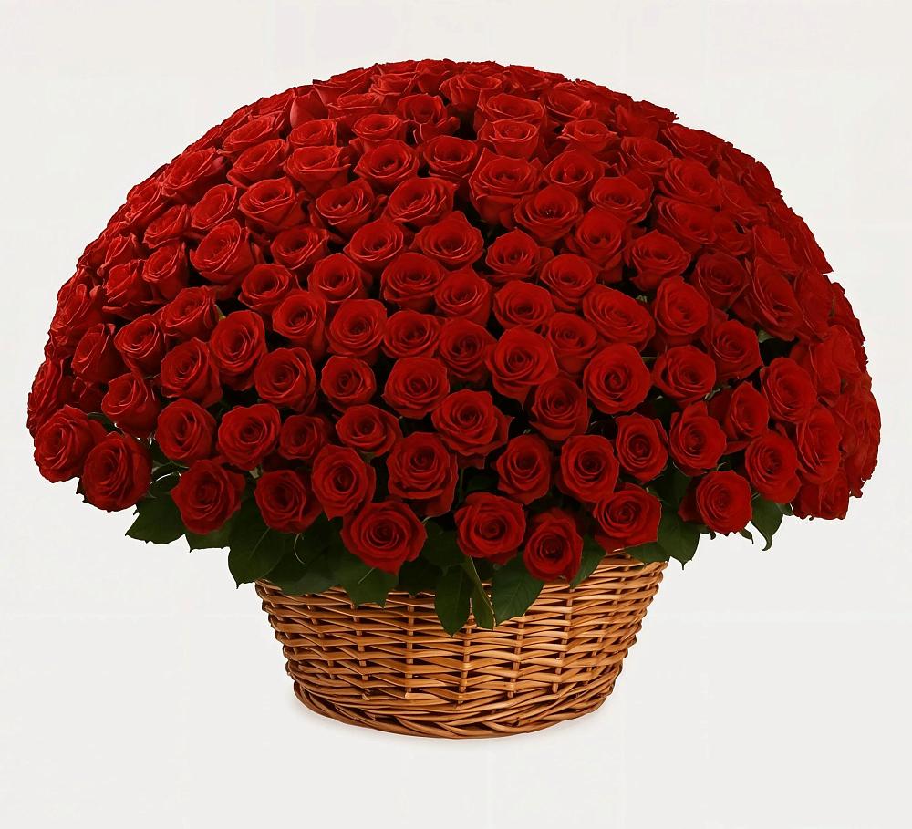 Премиум букет из: Розы в Заполярном Мурманской области