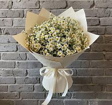 Букет цветов из:  Ромашки в Заполярном Мурманской области