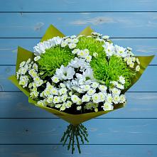 Букет цветов из:  Хризантемы в Заполярном Мурманской области