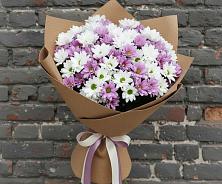 Букет цветов из:  Хризантемы в Заполярном Мурманской области