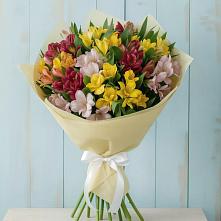 Букет цветов из:  Альстромерии #REPLACE_PRED# Заполярном Мурманской области