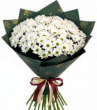 Букет цветов из:  Хризантемы в Заполярном Мурманской области