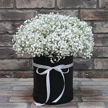 Цветочная композиция из Гипсофила в шляпной коробке #REPLACE_PRED# Заполярном Мурманской области