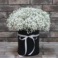 Цветочная композиция из Гипсофила в шляпной коробке в Заполярном Мурманской области