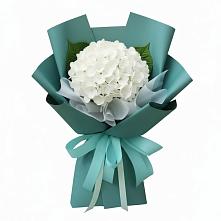 Букет цветов из:  Гортензия в Заполярном Мурманской области